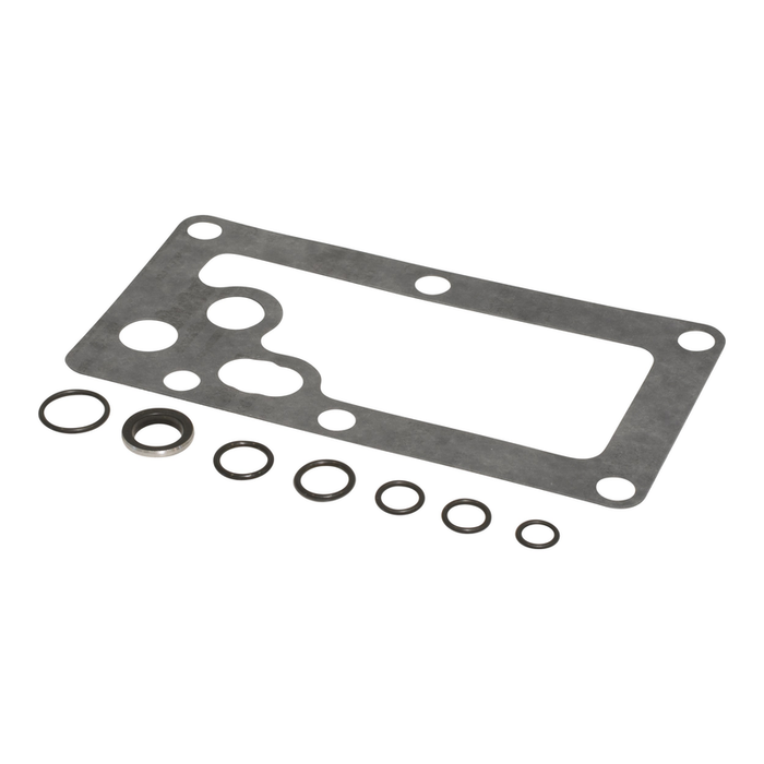 Control Valve Seal Kit