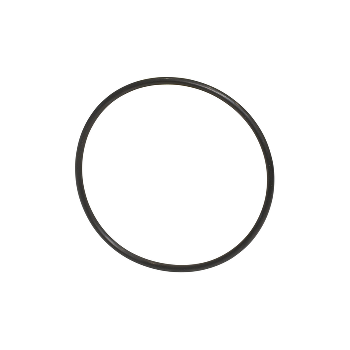 O-RING,LNG SERVO PISTON,EATON