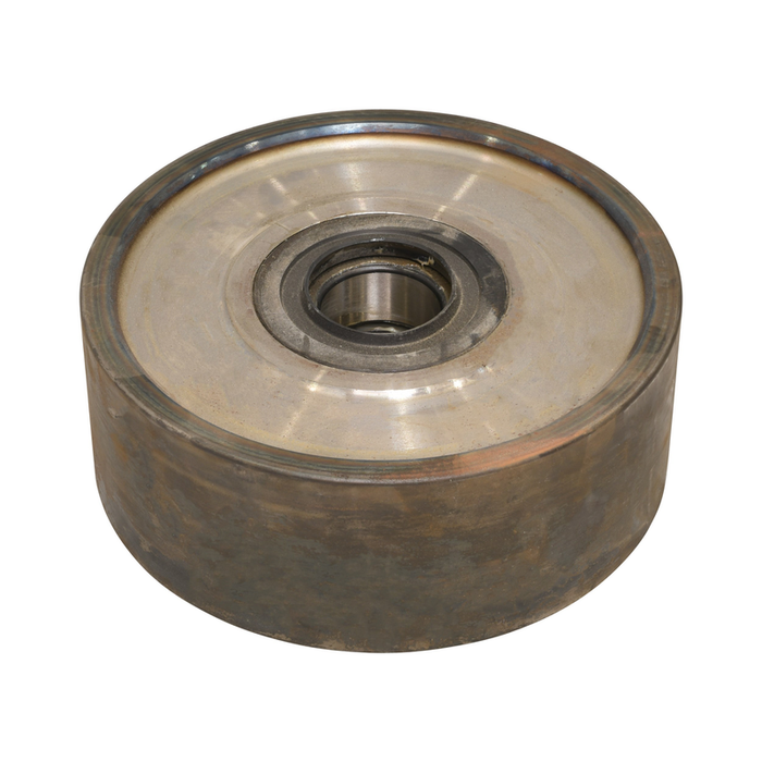 ROLLER-W/BearingS  Rubber SEALS,REX