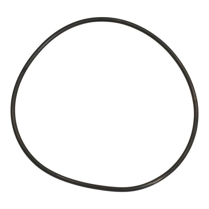 O-Ring for Pendant