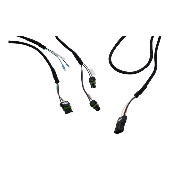 Bridgemaster Chassis Harness