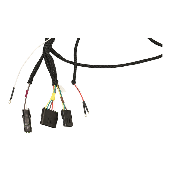 Harness