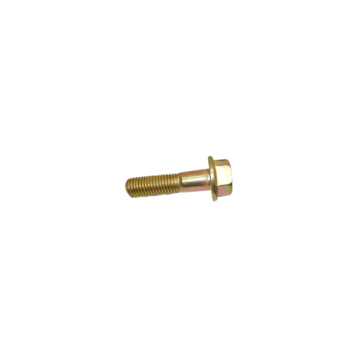 Flange Screw