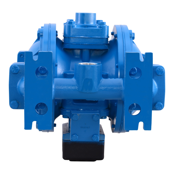Dual Diaphragm Pump