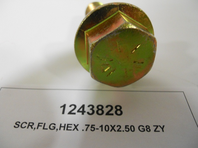 Hex Screw