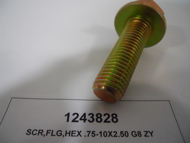 Hex Screw