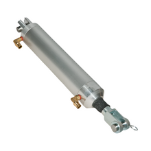 0107616 | Western Mixer | HOPPER AIR CYLINDER