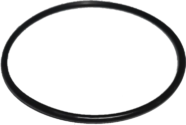 106554 | Western Mixer | O-RING FOR FILTER