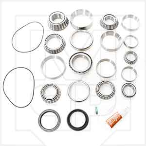 DT Components DRK4396 Bearing and Seal Kit