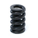 12589 Pedestal Hold-Down Spring