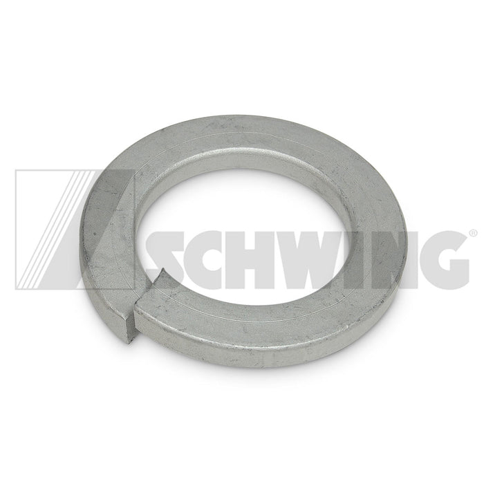 Lock Washer Din 127 A 36-Fst-Gt500 | Weight: 2 lbs | Dimensions: 57 X 57 X 12 MM