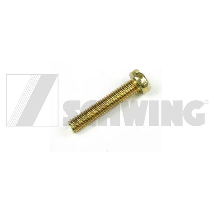 Screw Din 84 M 5 X 25-5.8-Vzd | Weight: 2 lbs