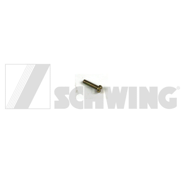 Screw Din 84 M 4 X 20-4.8-Vzd | Weight: 1 lbs