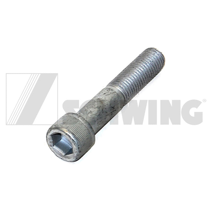 Screw Din 912 M 20 X100-12.9-Zfshl | Weight: 2 lbs | Dimensions: 120 X 30 X 30 MM
