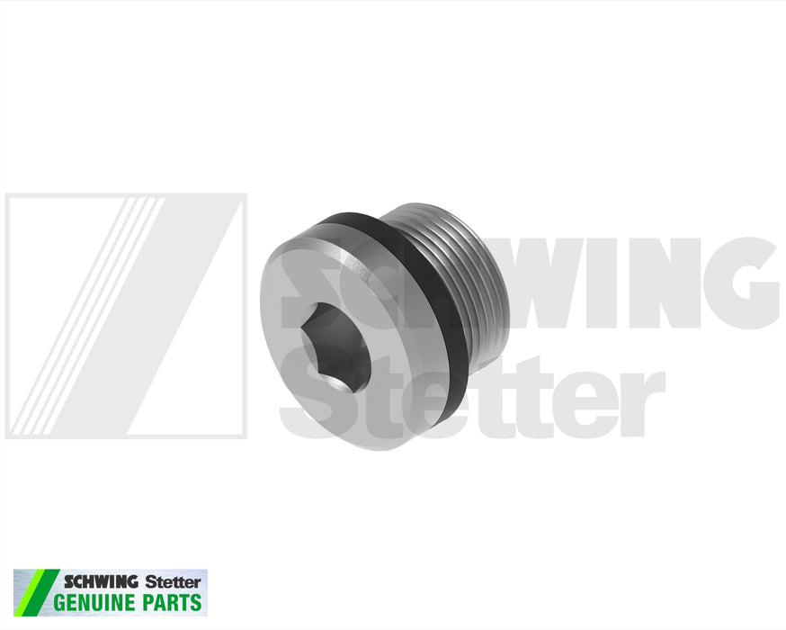 Closing Screw Plug G 1 1/4 Vs-Wd | Weight: 2 lbs