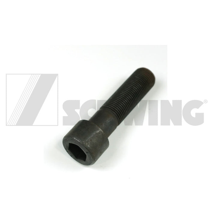 Screw Din 912 M 24 X2 X 90-12.9 | Weight: 2 lbs