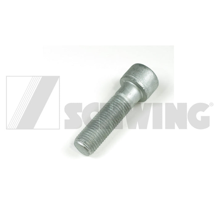 Screw Din 912 M 22 X 80-12.9 | Weight: 2 lbs