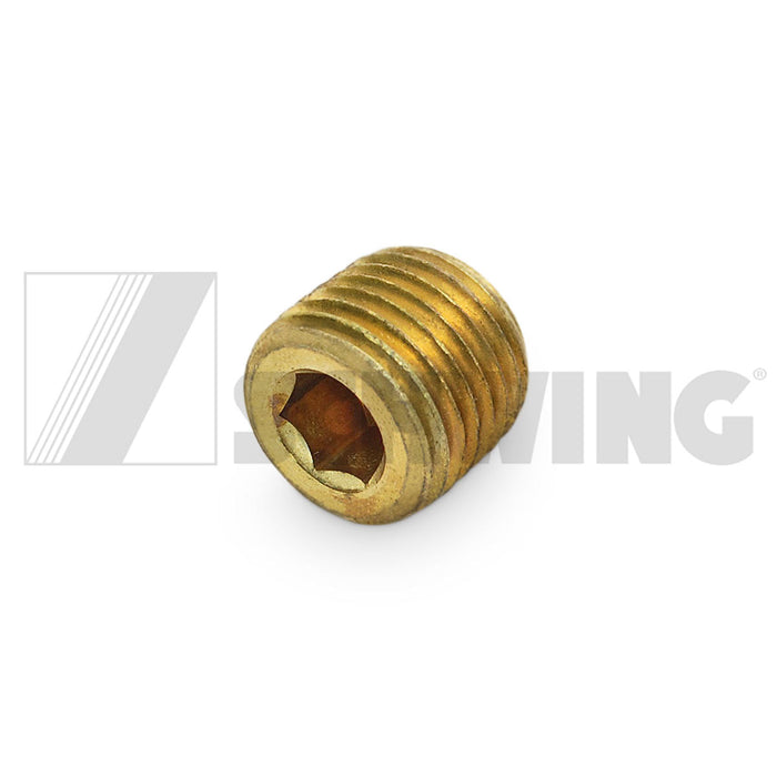 Fitting - Water, Plug 1/4" Npt | Weight: 2 lbs | Dimensions: 12 X 12 X 12 MM