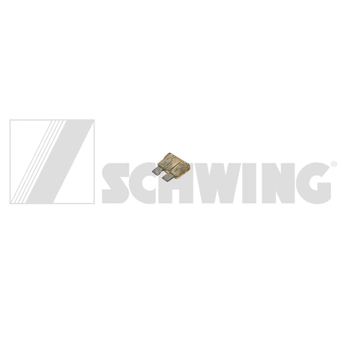 Fuse Spade Tp 25 Amp | Weight: 1 lbs | Dimensions: 4 X 20 X 20 MM