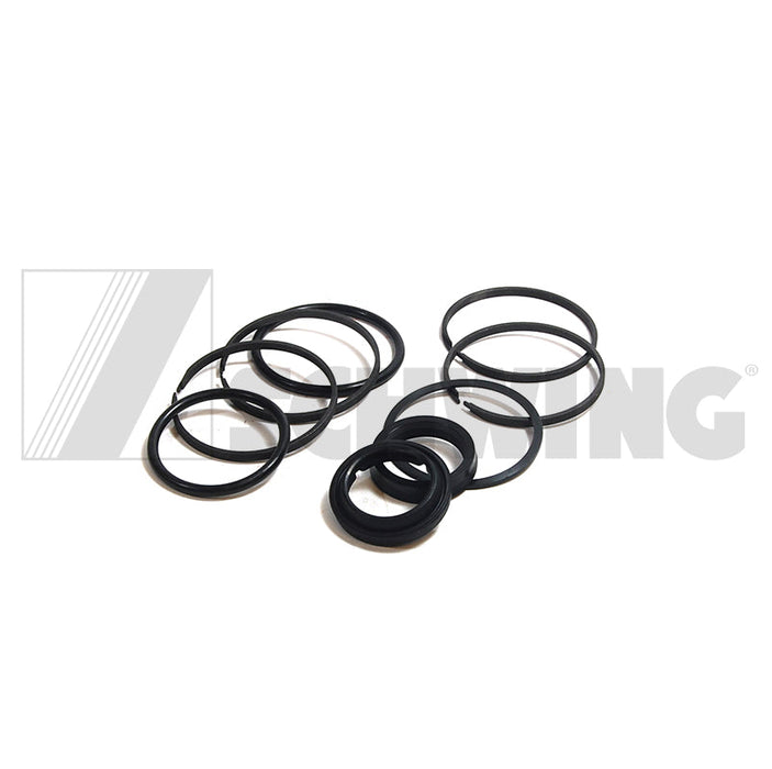 Cylinder - Seal Kit P305/204 Slewwelded | Weight: 2 lbs | Dimensions: 20 X 70 X 70 MM