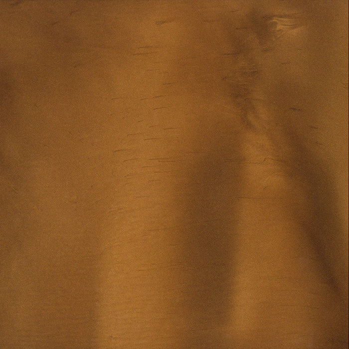 Western Coatings Metallic Pigment- LEATHER